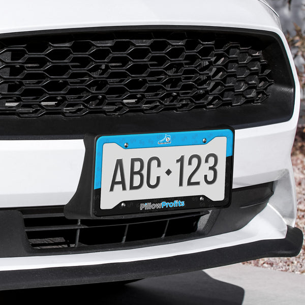 license plate frame test
