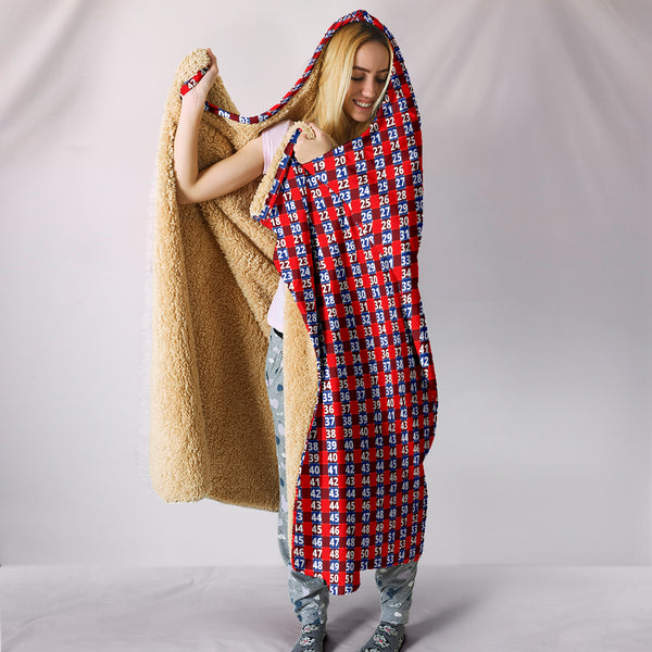 hooded blanket from express line