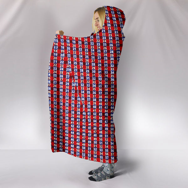 hooded blanket from express line