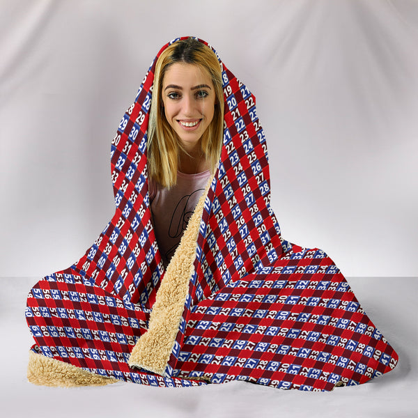 hooded blanket from express line